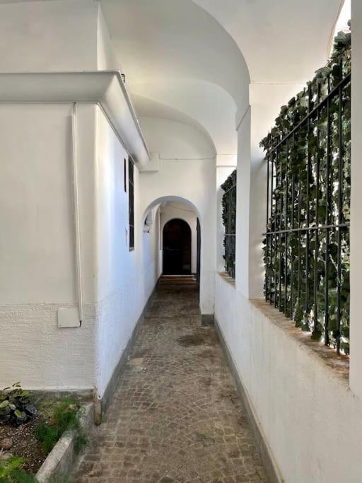 Lovely Apartment In Via Della Scala, Trastevere Rom Eksteriør billede